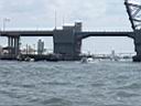 P9150091 (Medium).JPG